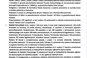 Sprawozdanie Starosty page-0005